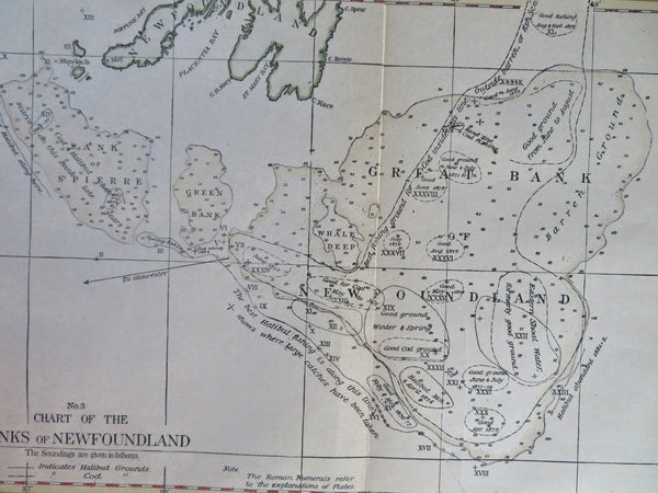 Newfoundland Fishing Banks Halibut Cod Great Bank c. 1890's nautical map