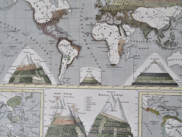 Mountain Ranges Spices Pepper Chocolate Coffee Tea Sugar c. 1850's world map