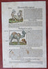 Cannibalism Camels Zanzibar Madagascar 1598 Munster Cosmography leaf print