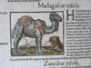 Cannibalism Camels Zanzibar Madagascar 1598 Munster Cosmography leaf print